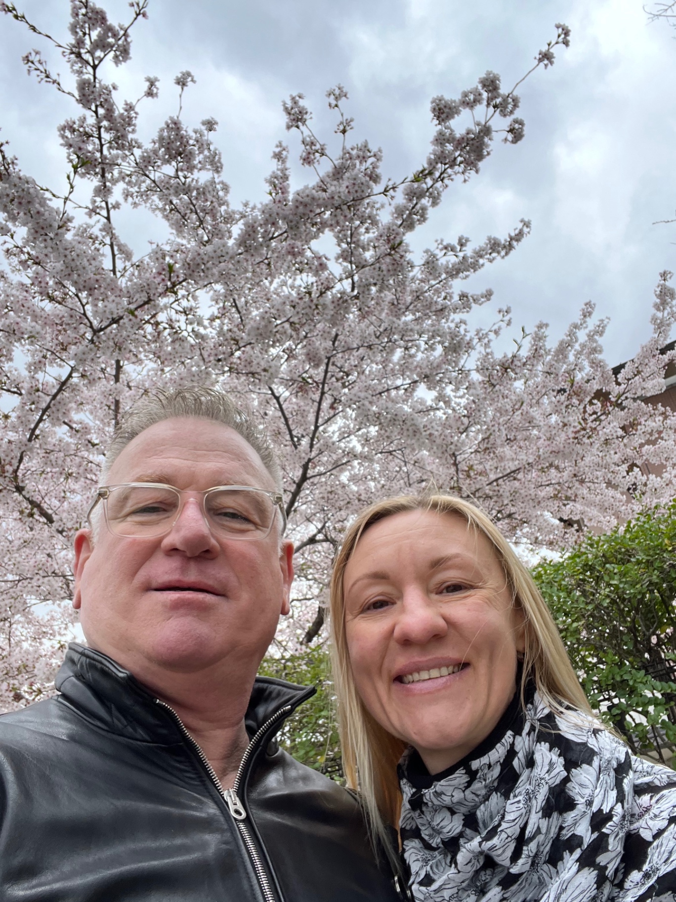 Selfie unter blühenden Kirschbäumen in Japan