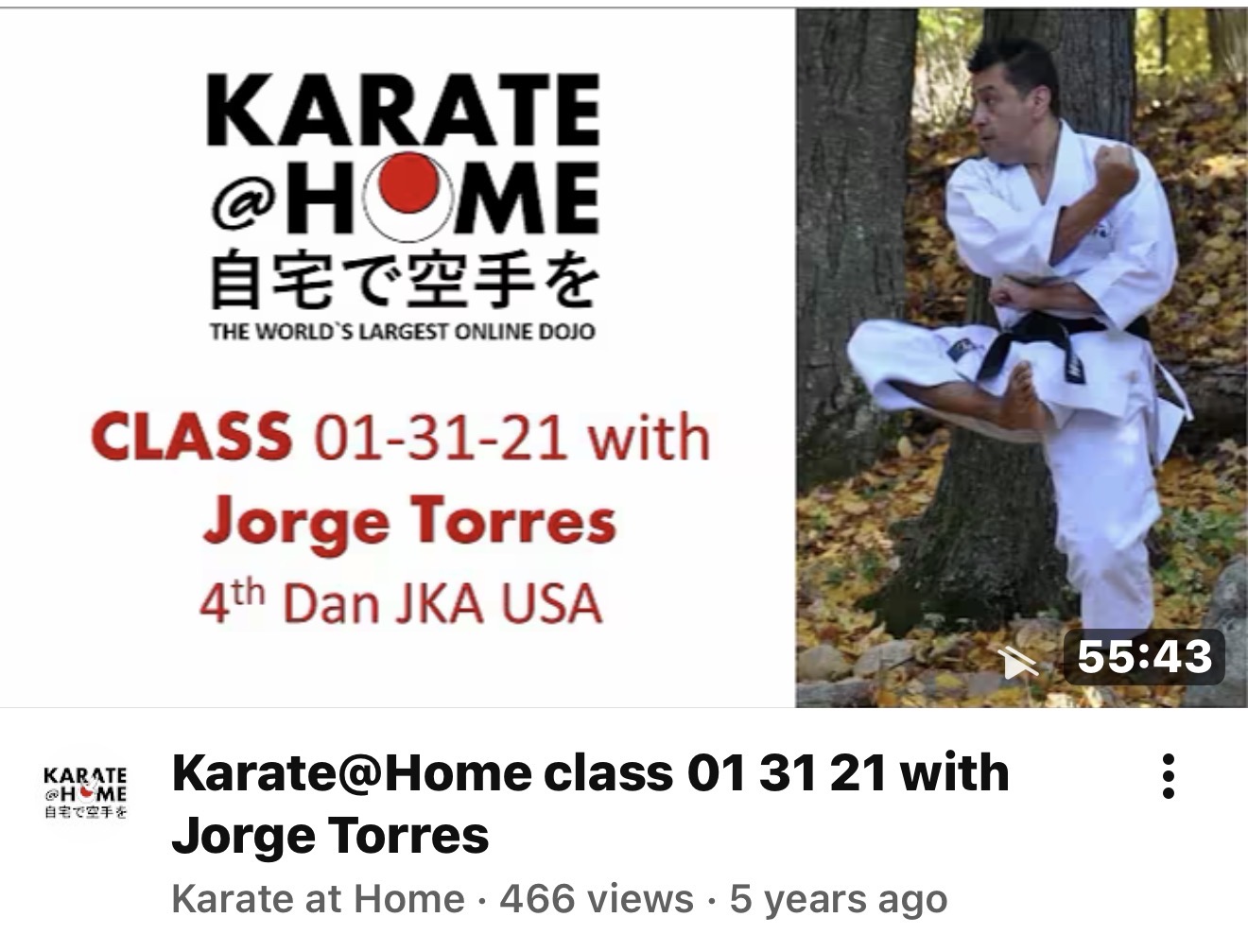 KARATE@HOME Class 01-31-21 mit Jorge Torres