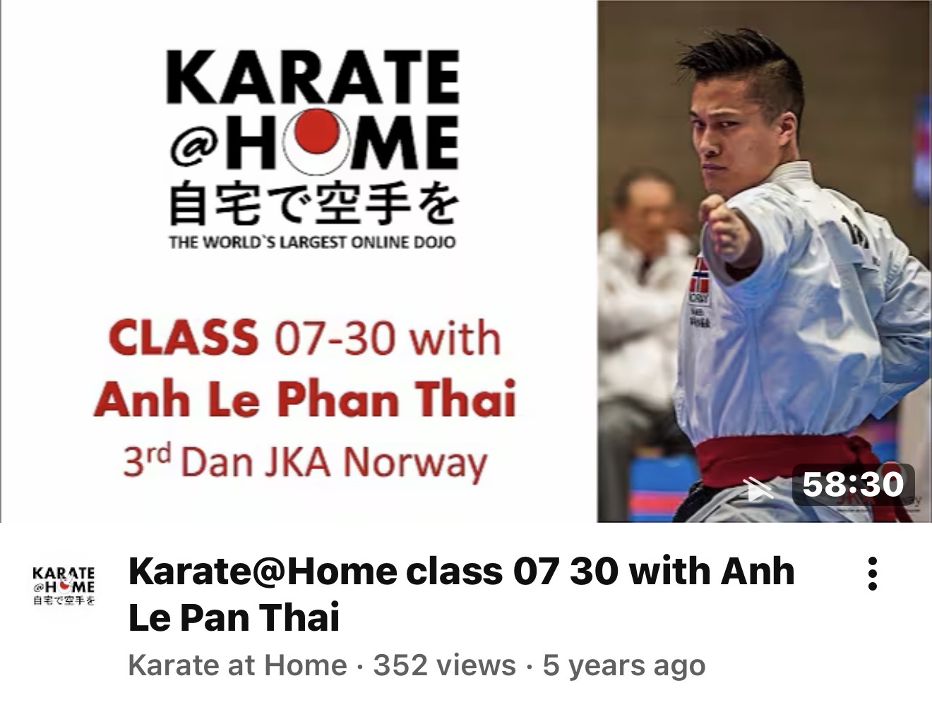 KARATE@HOME Class 07-30 mit Anh Le Phan Thai